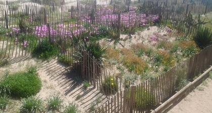 Wohnung im Erdgeschoss der Villa, direkt am Meer