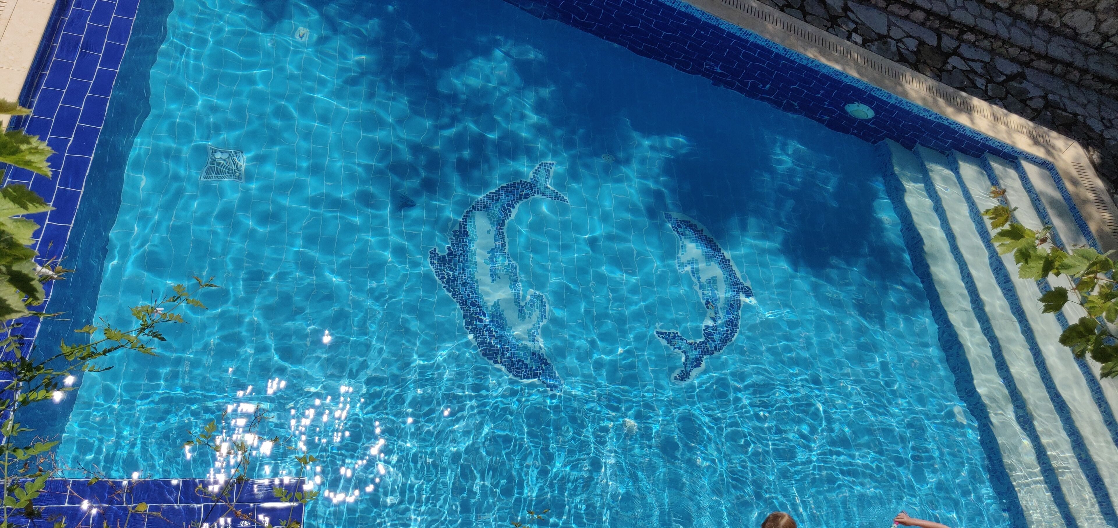 A clear blue pool with a dolphin design on the tiles.