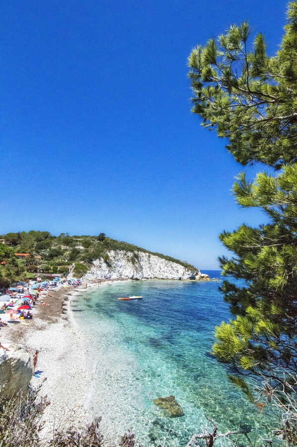 Beach nearby - Cozy apartment in the historic heart of Piombino (Piombino)