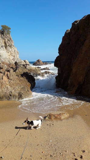 Perto da praia