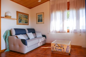 Smart TV, lareira, livros, biblioteca musical