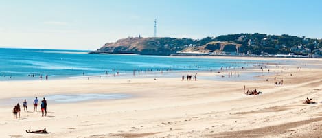 Plage, chaises longues