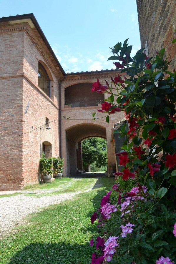 Property grounds - your little dream in the heart of Tuscany (Monteroni d'Arbia (Siena))