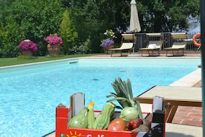 Une piscine avec des chaises longues et des plantes en pot.