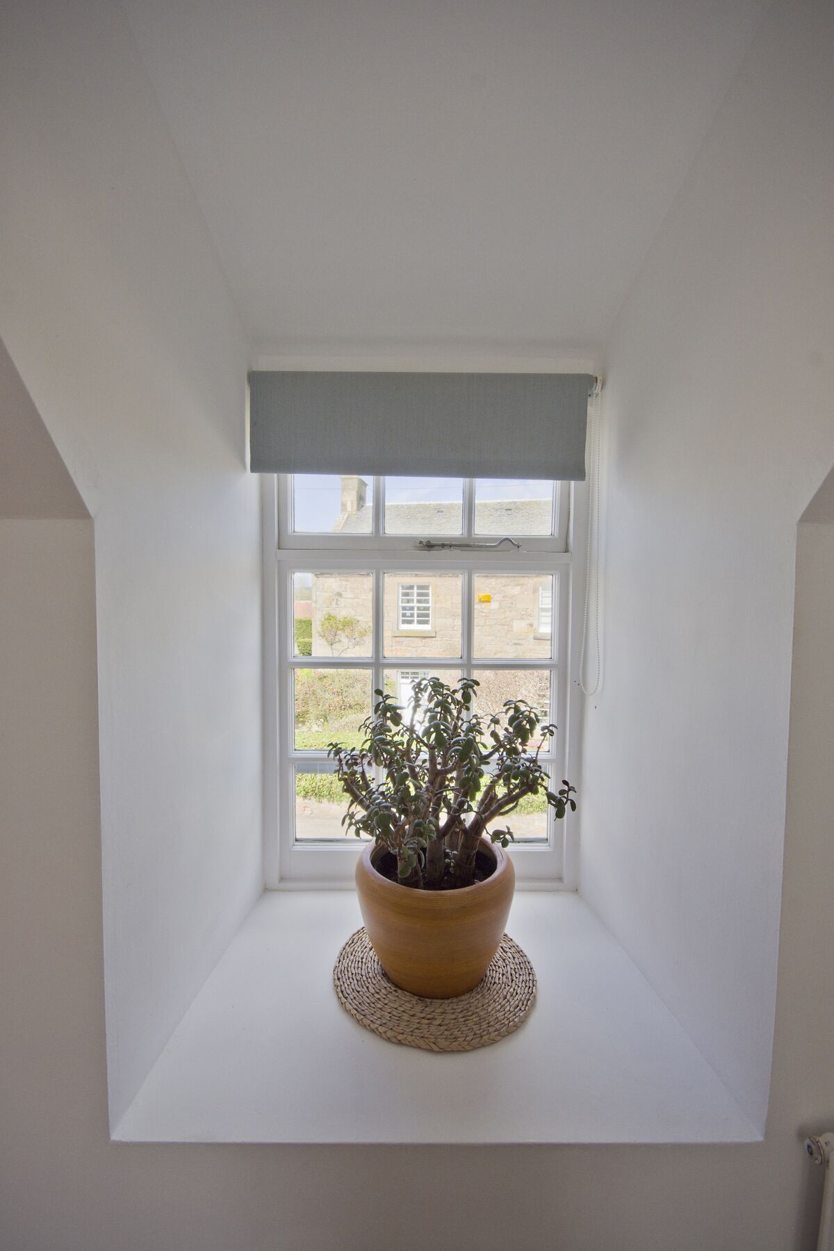 A potted plant on a windowsill in a room with a view of a building outside.