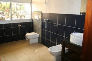 Combined shower/bathtub, bidet, towels, toilet paper - VILLA MARCO 1 APARTMENT  (YAOUNDE)