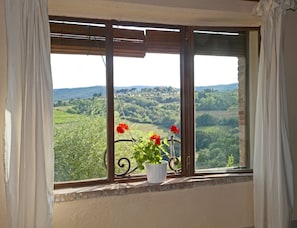 A window with a view of a green landscape, a white pot with red flowers, and a curtain. - Country House Nazzano in Vineyards/Olive Grove near San Gimignano Florence Siena (Gambassi Terme)