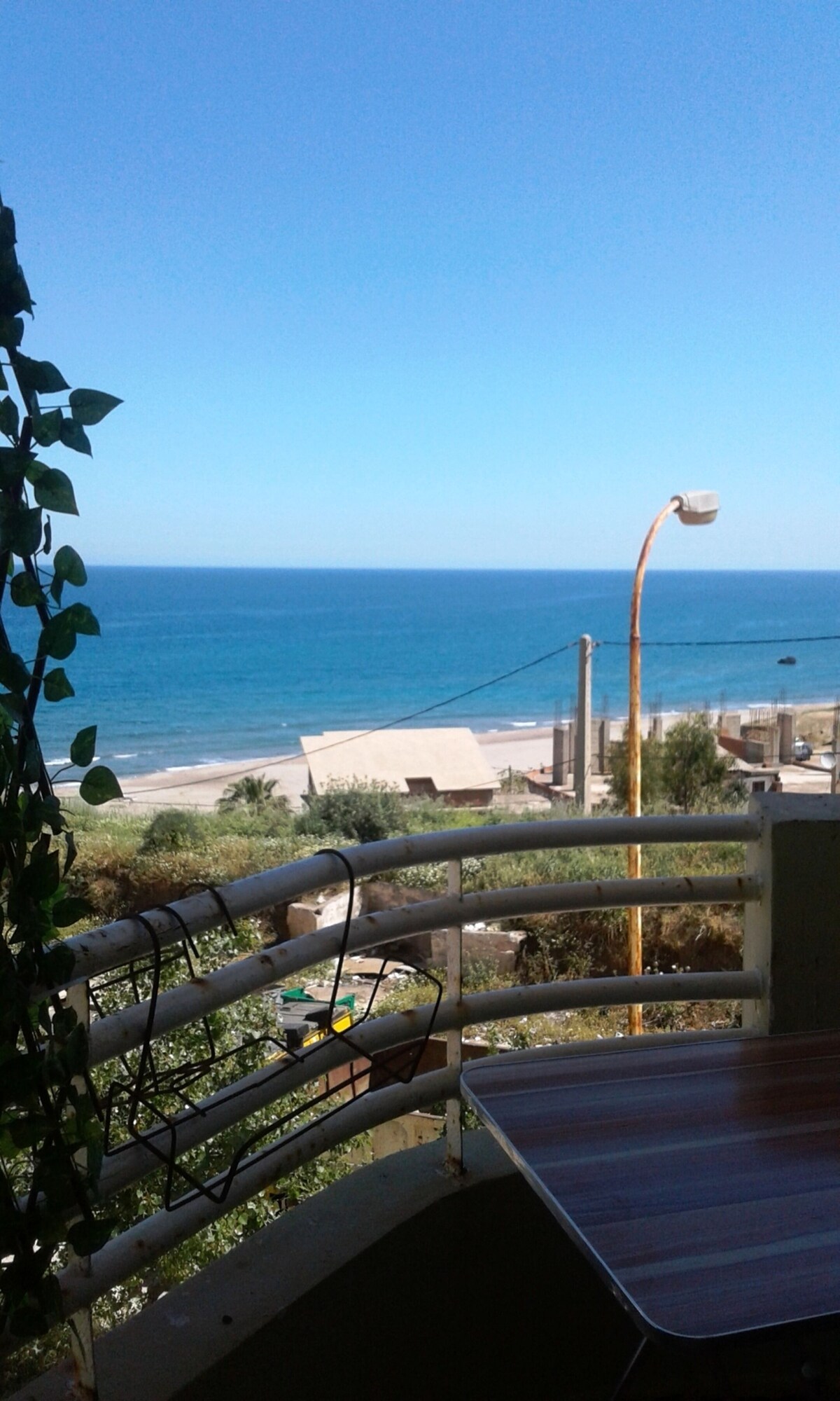 オーナーのプロフィール画像