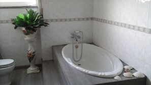 Ensemble baignoire-douche, séchoir à cheveux, serviettes fournies, savon