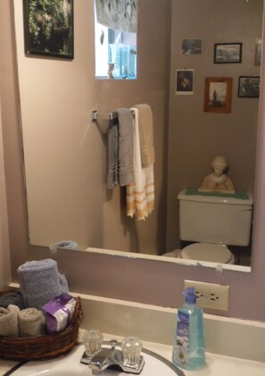 Tina con regadera, secadora de cabello, toallas, jabón 