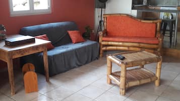 Télévision, table de tennis de table, livres, chaßne hi-fi