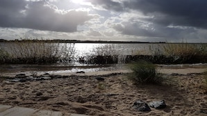 Een strand met zand, rotsen en rietkragen.