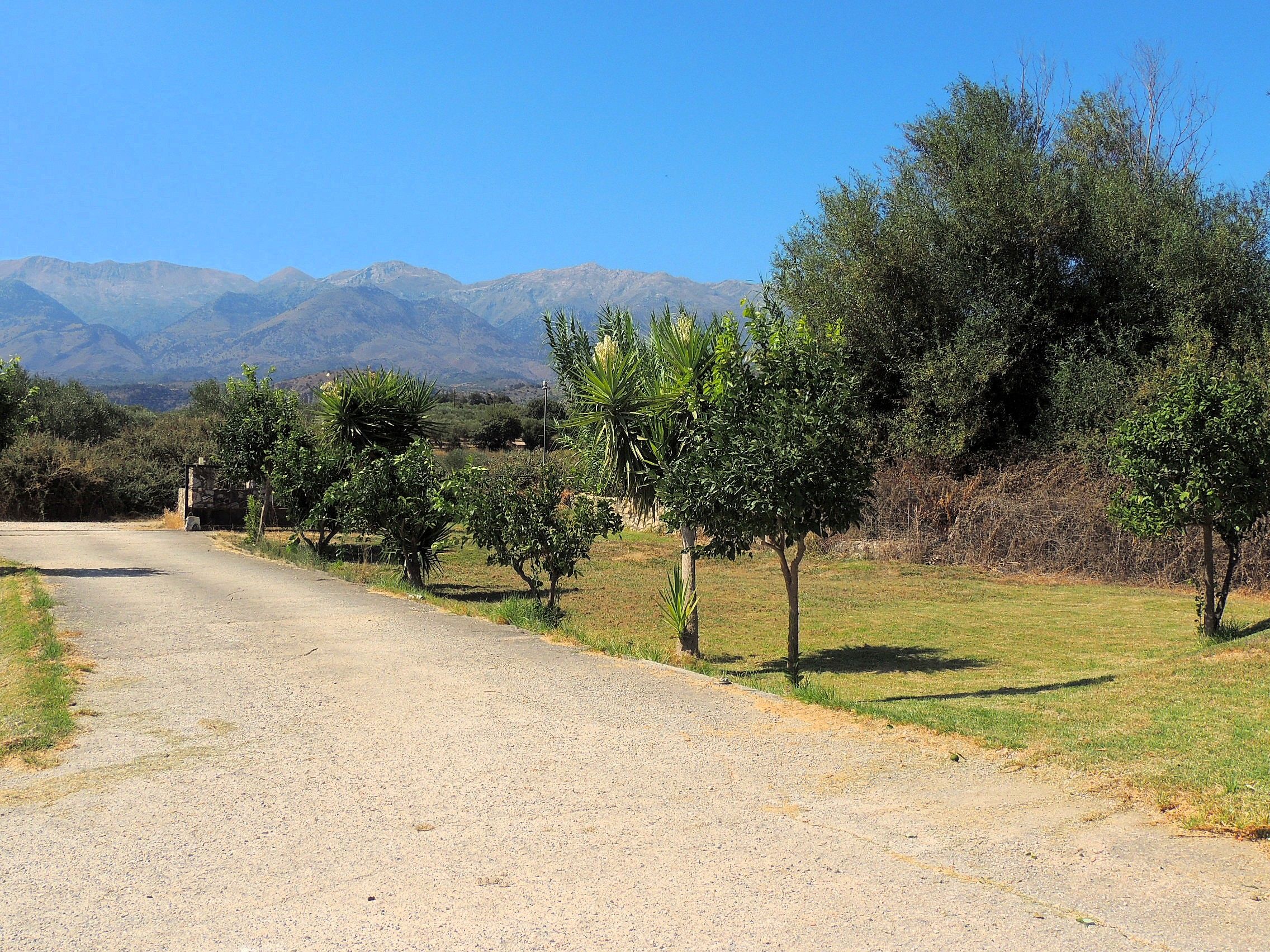 A gravel road leading to a rural area with trees and mountains in the background.