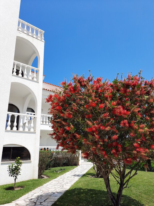 A white building with multiple balconies and a tree with red flowers in front.