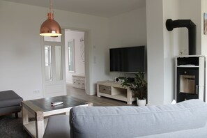 Tv, eldstad, dvd-spelare och en stereo