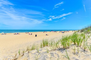 A beach with people sunbathing and swimming, sandy dunes with grass, and a clear blue sky.