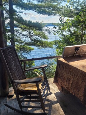 Property grounds - Turn Of The Century Cabin On Private Island (Forest City)