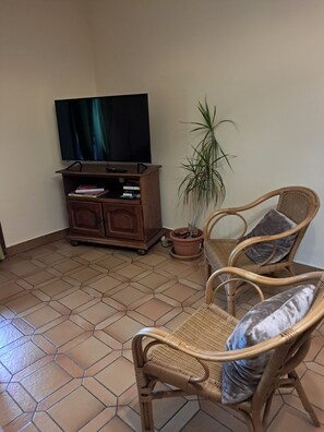 A living room with a television, a bookshelf, a potted plant, and wicker furniture.
