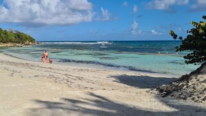 Ein Strand mit klarem türkisblauem Wasser, einem Sandufer und etwas Grün im Hintergrund.
