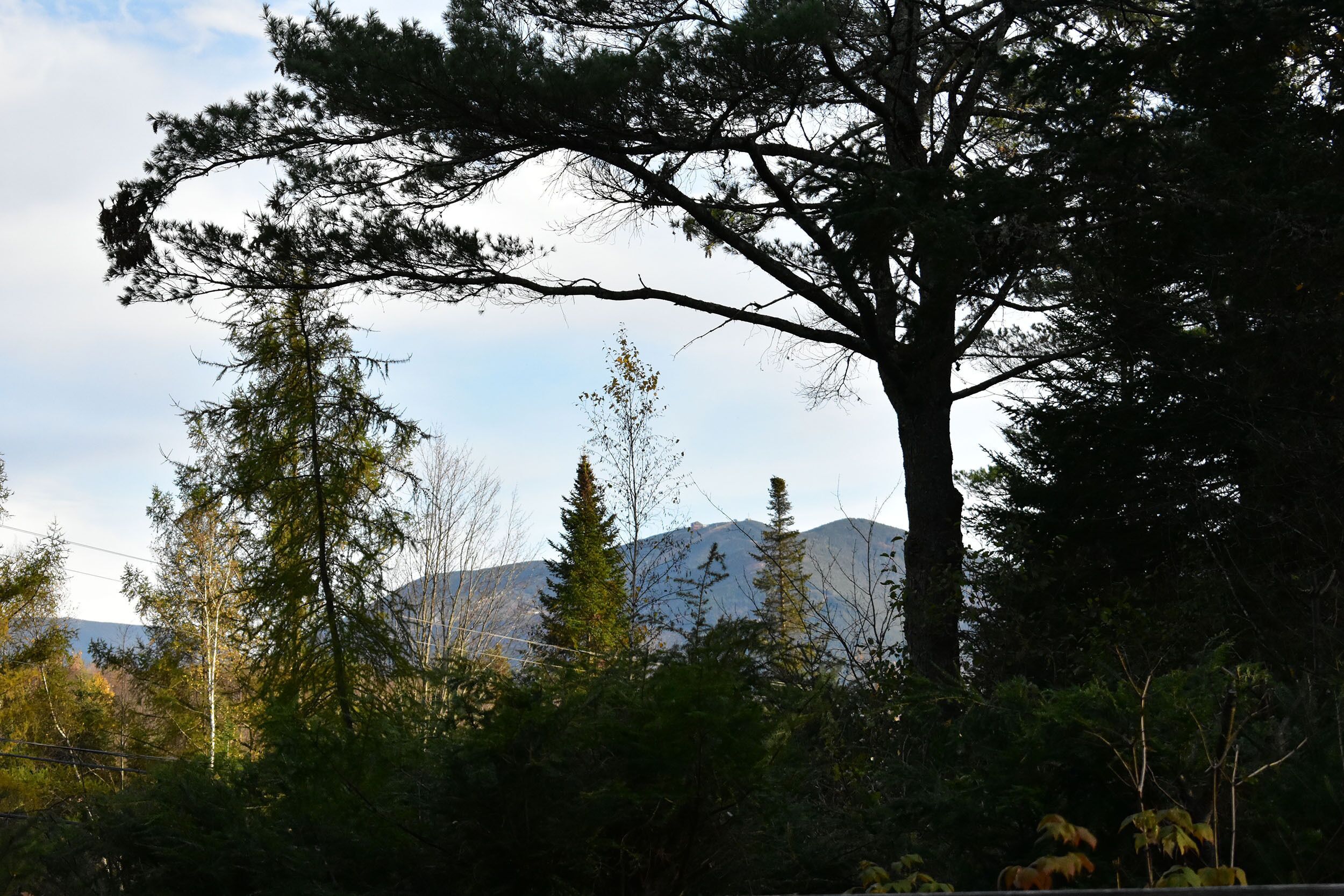 Rustic and Cozy Mountain Lodge - Franconia