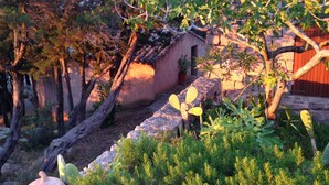 Una pared de piedra rústica con una pequeña estructura de madera, rodeada de vegetación y árboles.