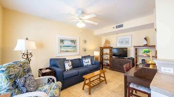 Smart TV, DVD player, books