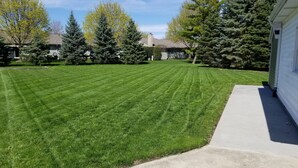 A well-maintained lawn with a concrete pathway leading to a building.