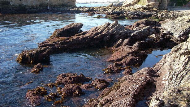 Rocky coastal terrain with clear water and distant buildings. - Small Private Apartment Within Walking Distance to Beach, Restaurants & Shops (Corona del Mar)
