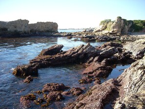 Sun-loungers, beach towels