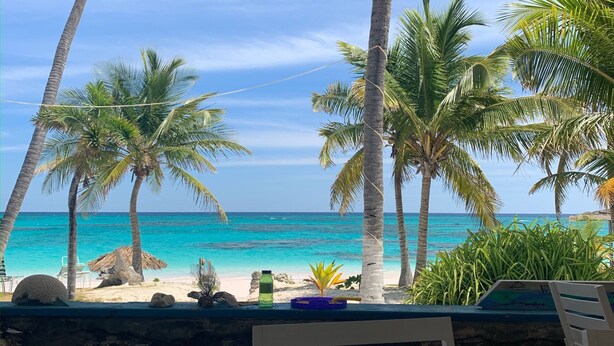 Une vue sur la plage depuis un espace abrité doté d’un plafond en bois et bordé de palmiers.