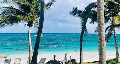 FRONT DE MER, PISCINE PRIVEE, SUPERBE SNORKELING (NON AFFECTE PAR LâOURAGAN)