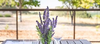 Vines & Views. Modern designer cottage with 360-degree views of vines & wildlife