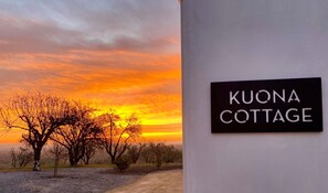 Welcome to just another day at Kuona Cottage.