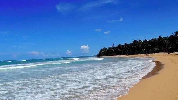 A beach with clear blue water, sandy shore, and a line of trees in the background. - Luquillo Beach Getaway – Cozy Coastal Condo Steps from  Playa Azul (Luquillo)