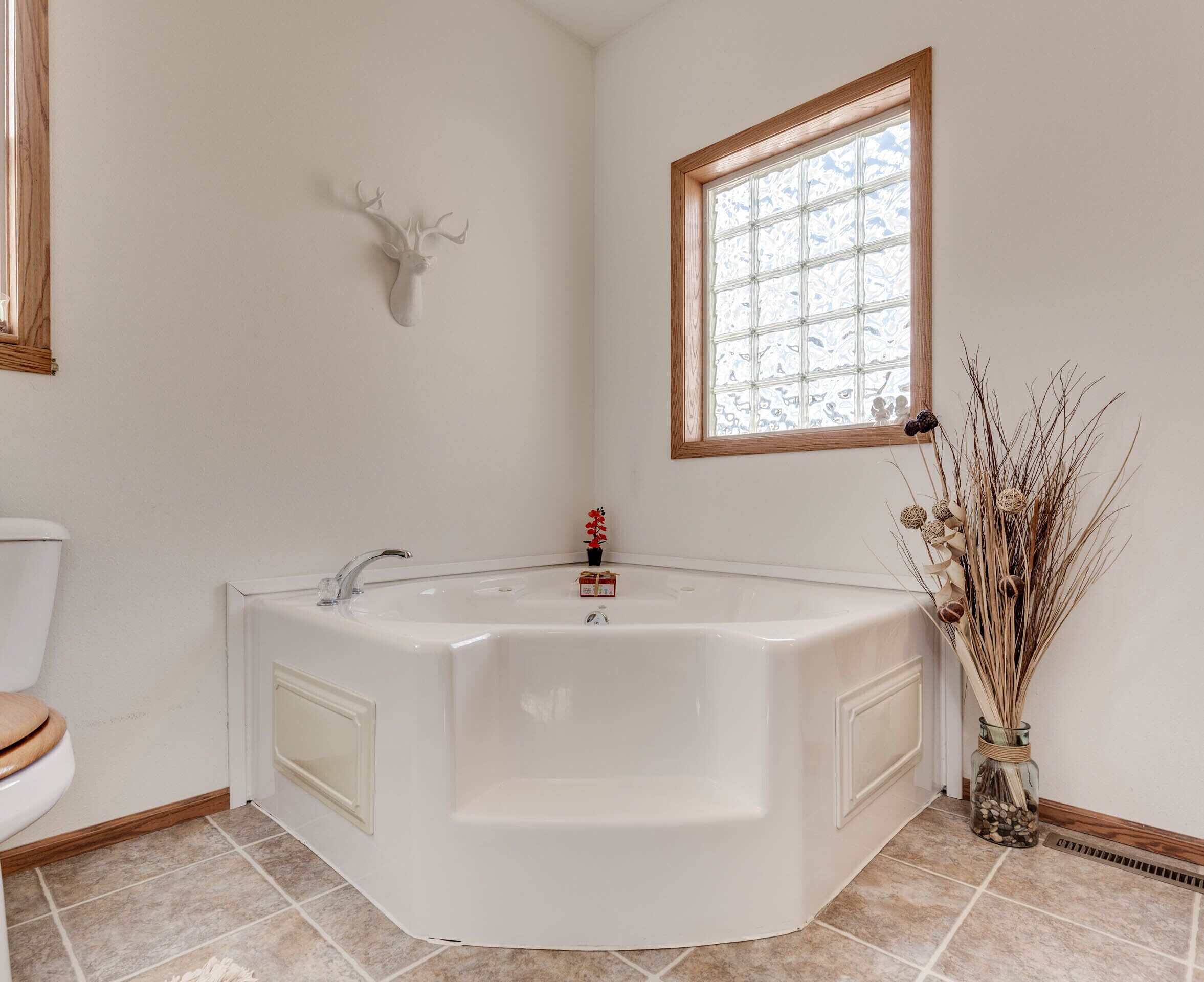 Yellowstone Mountain View 