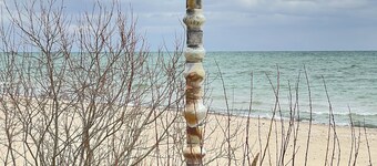 Cool vibes w/ 150' private beach, big views, trees, like northern Cali retreat