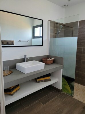 Shower, hair dryer, towels