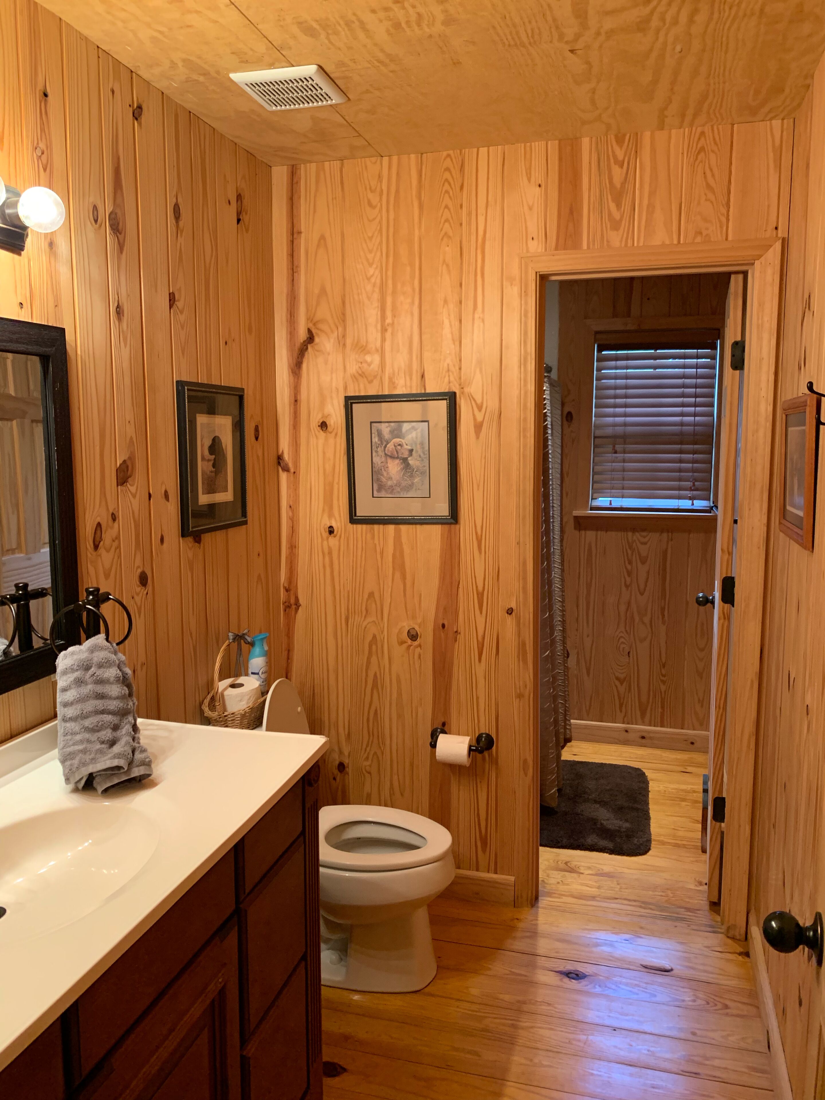 Blackshear Cabin on the Pond