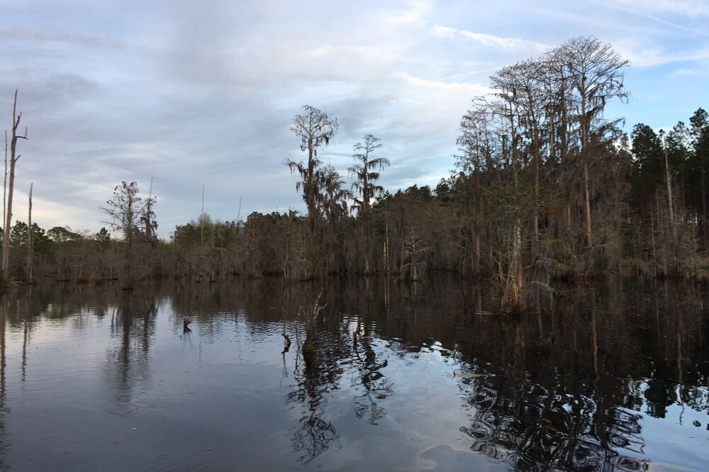 Blackshear Cabin on the Pond