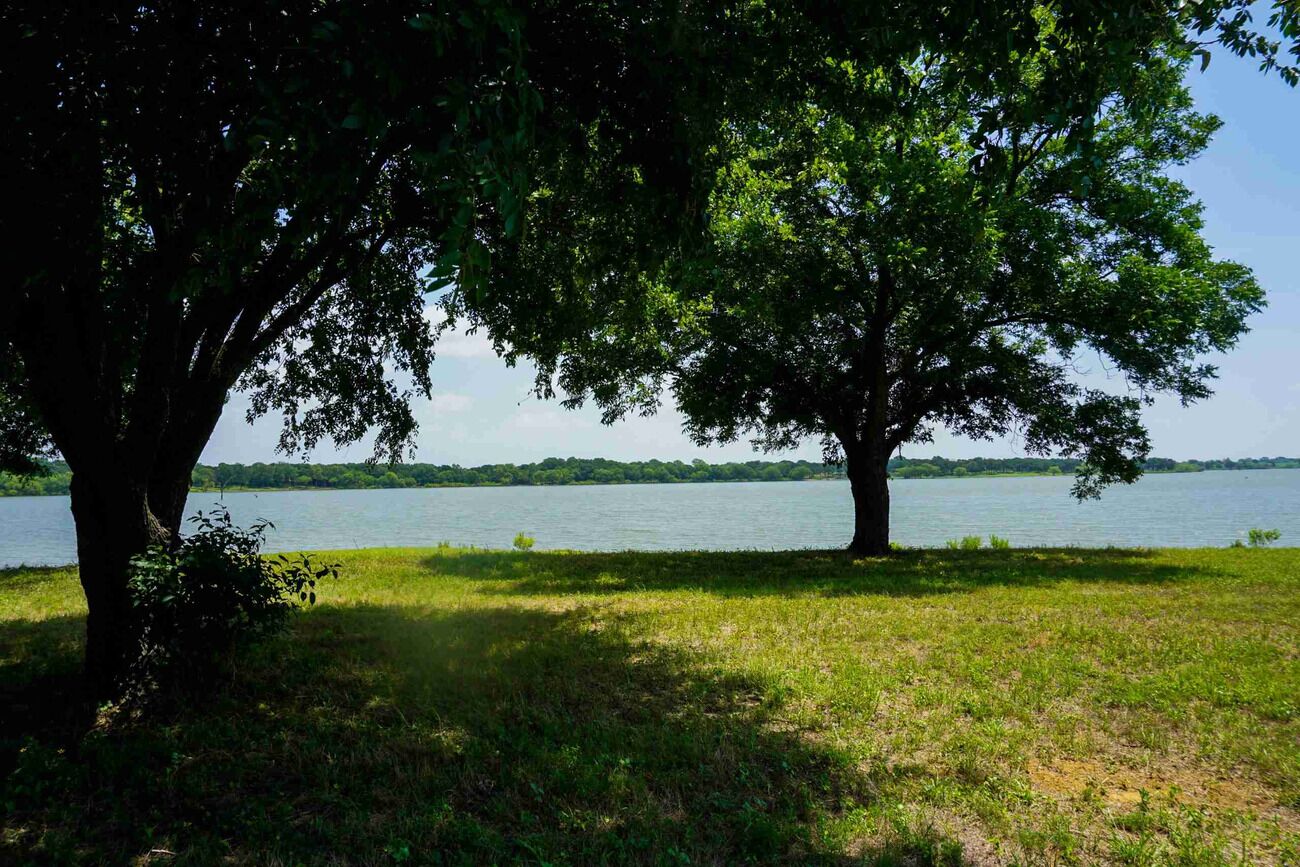 A natural landscape with two large trees and a body of water in the background.