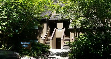 Moose Lodge Condo
