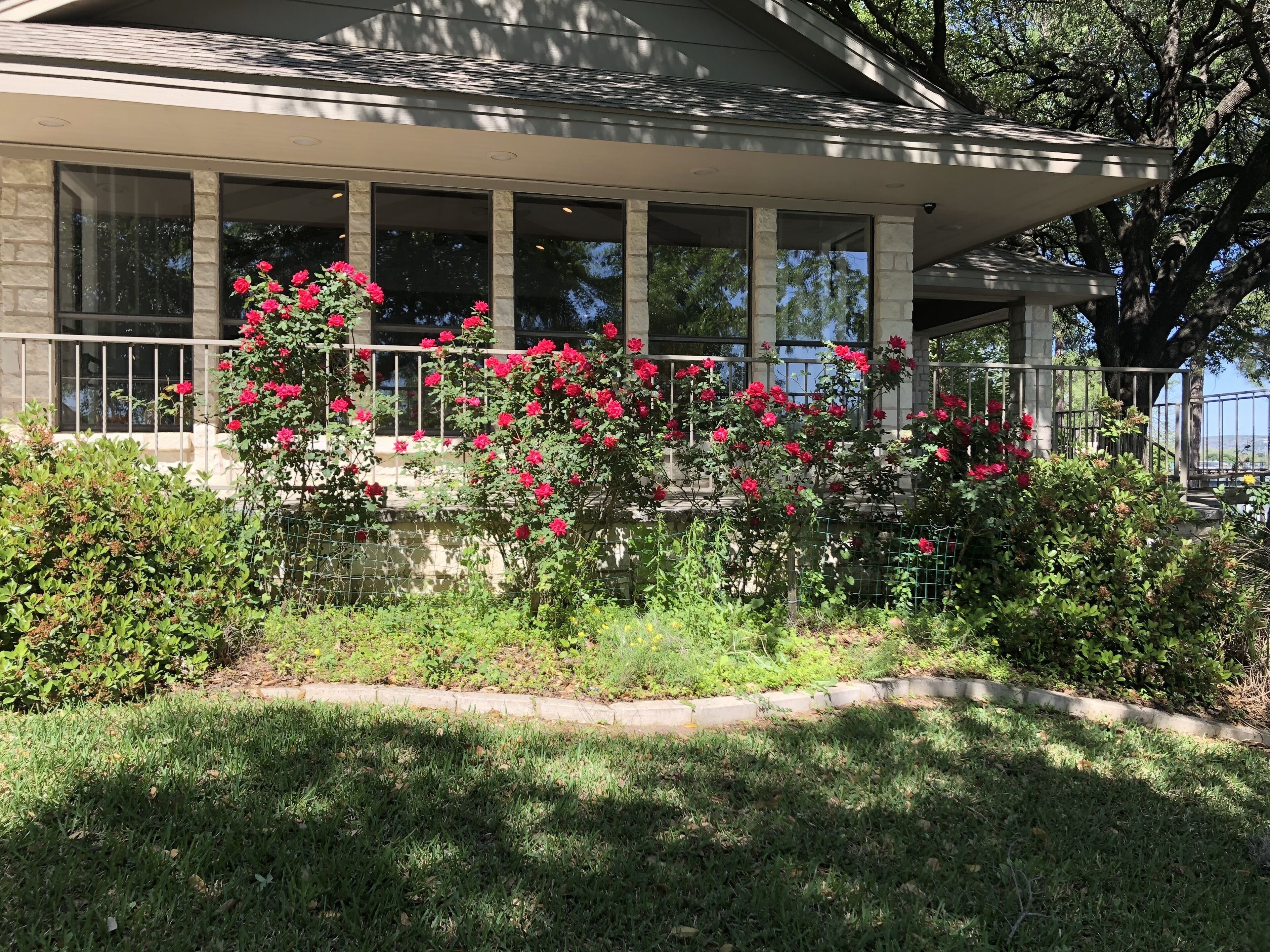 Great Family Fun with lots of space for everyone!