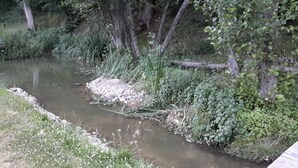 Un río con un muelle de madera a la derecha.
