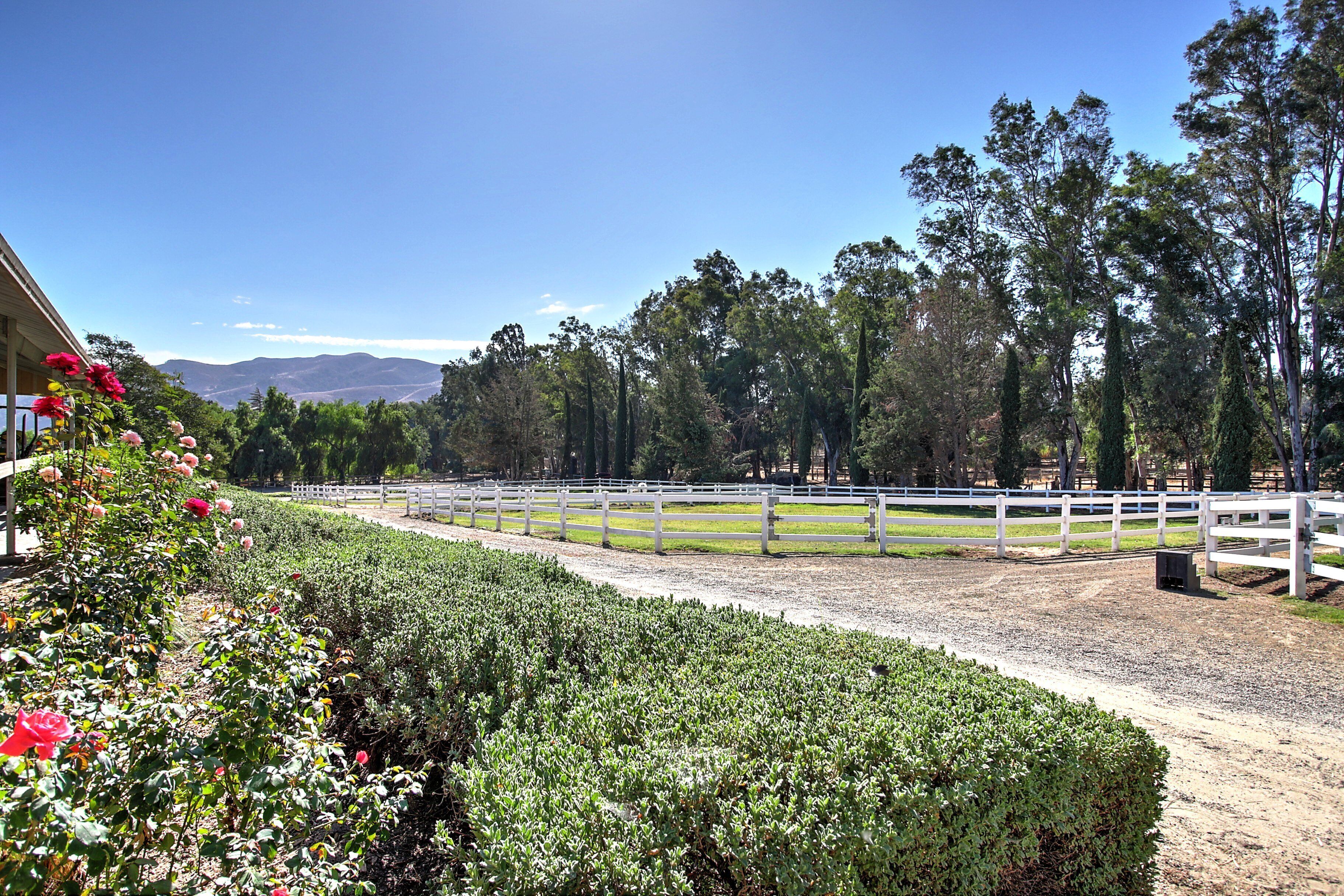 Enceinte de l’hébergement