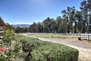 Terrain de l’hébergement 