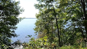 A natural landscape with a body of water, surrounded by dense foliage and trees.