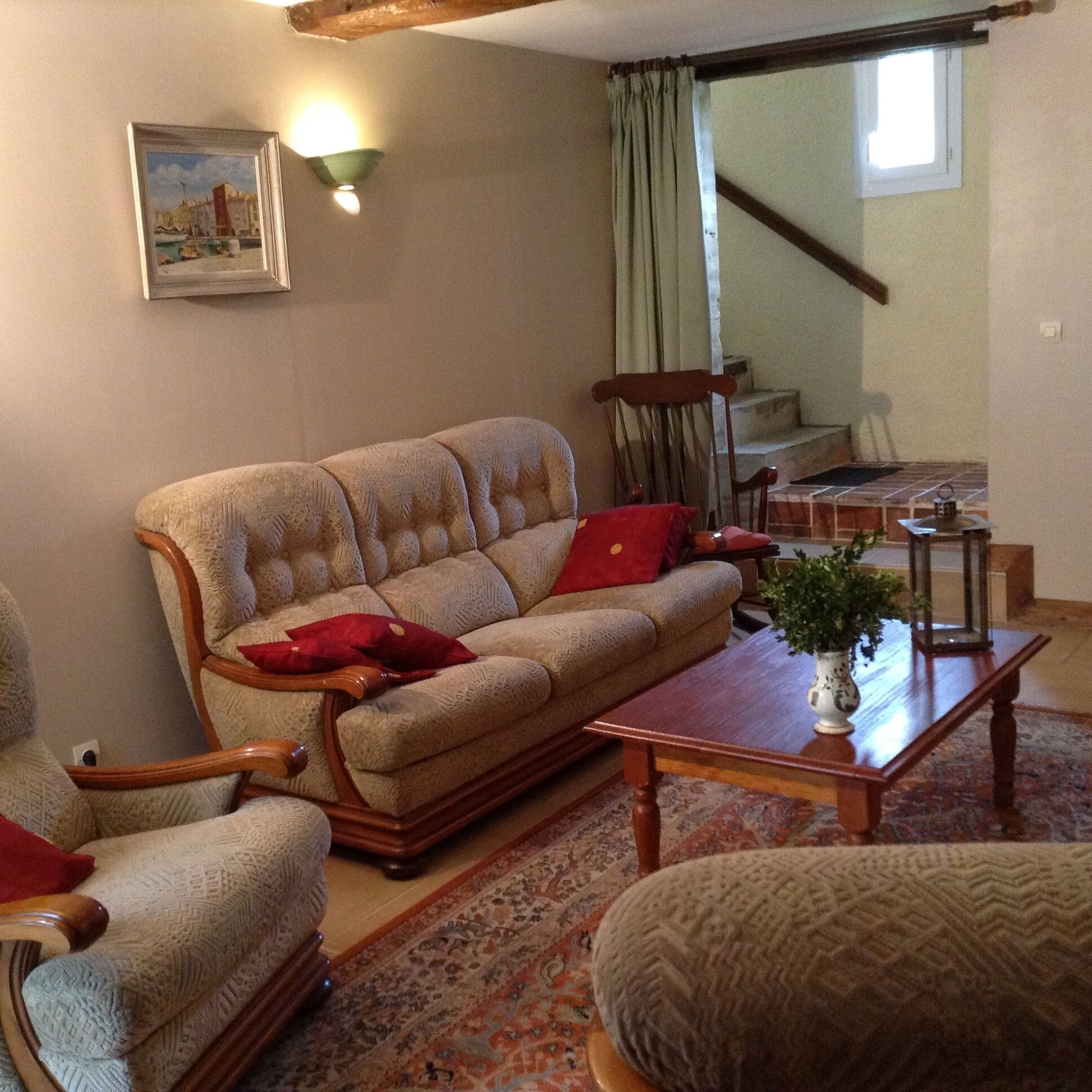 电视、DVD 播放器、书、影片库