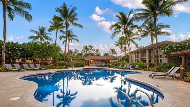 A swimming pool with lounge chairs and palm trees.