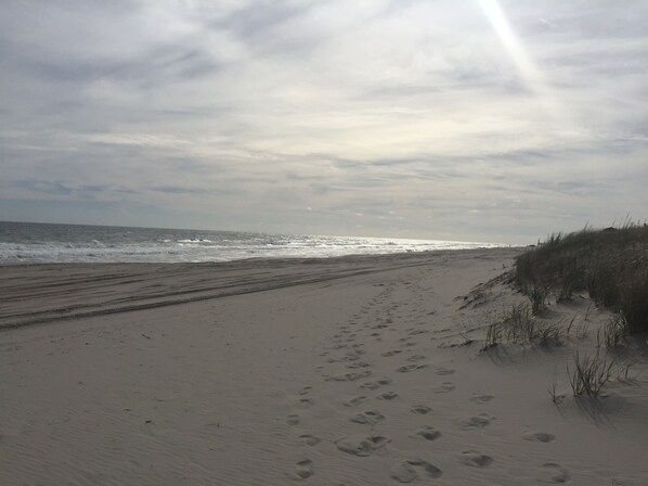 Beach nearby - Newly Decorated 2BR Cottage Lavallette, Sleeps 5, I/O Shwrs, A/C,Wi-Fi W/D (Lavallette)