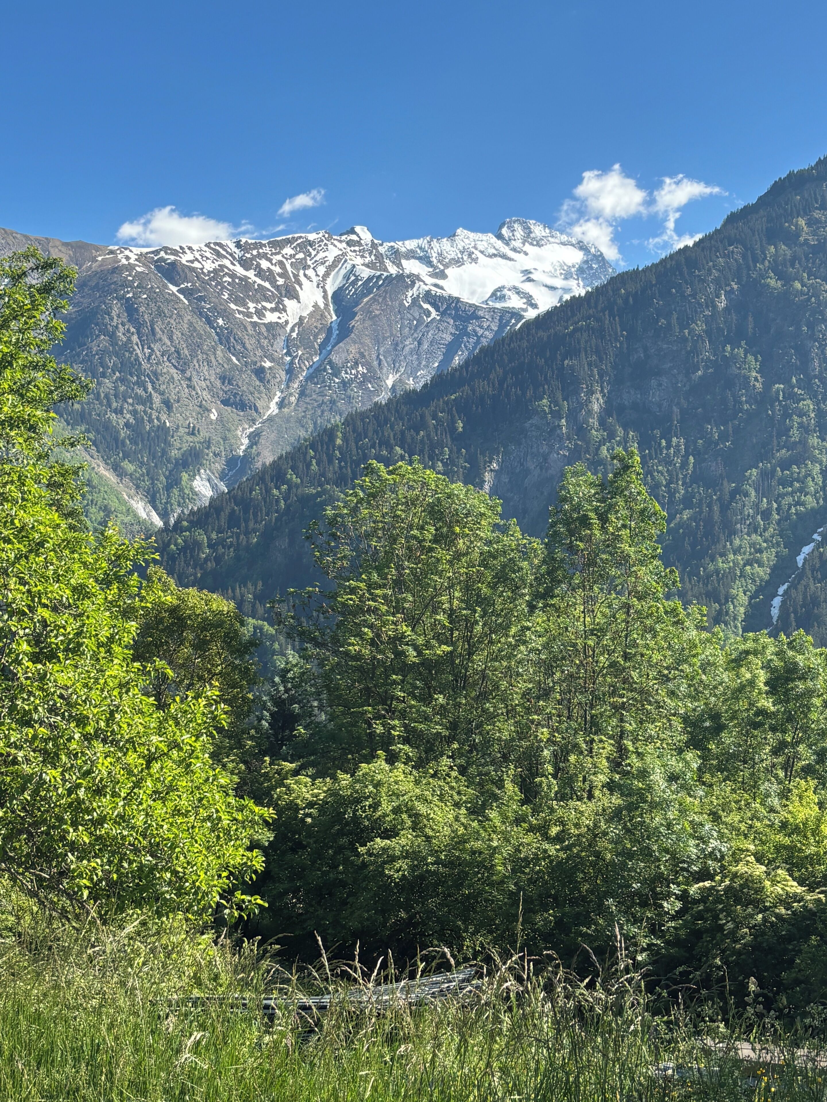 Un paisaje montañoso con picos nevados, bosque denso y cielo azul despejado.